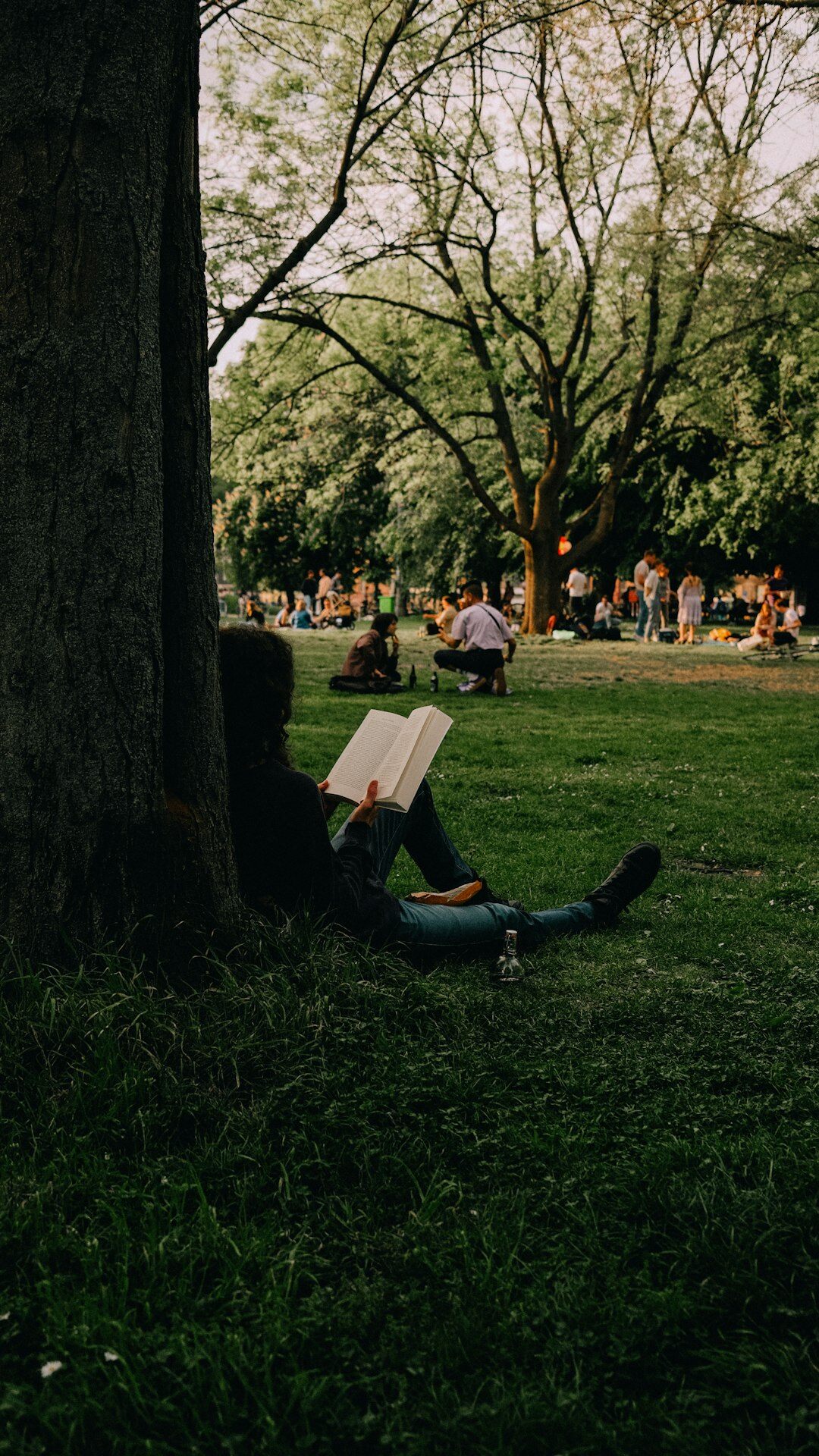 person reading book